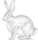 Lapin