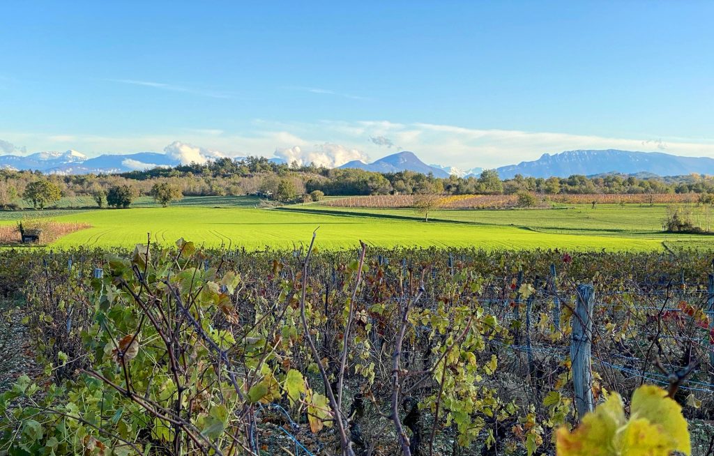 Les gites de Sarah et Claude Annecy-Genève-Geneve-Lyon-Bugey-Bugeysud-Ain-France-gites-gite-gîtes-gîte-les gites de sarah et Claude-pet-pet friendly-dog-cat-zen-nature-guest house-vacances-vacance-grand colombier-Le grand colombier-lesgitesdesarahetclaude
