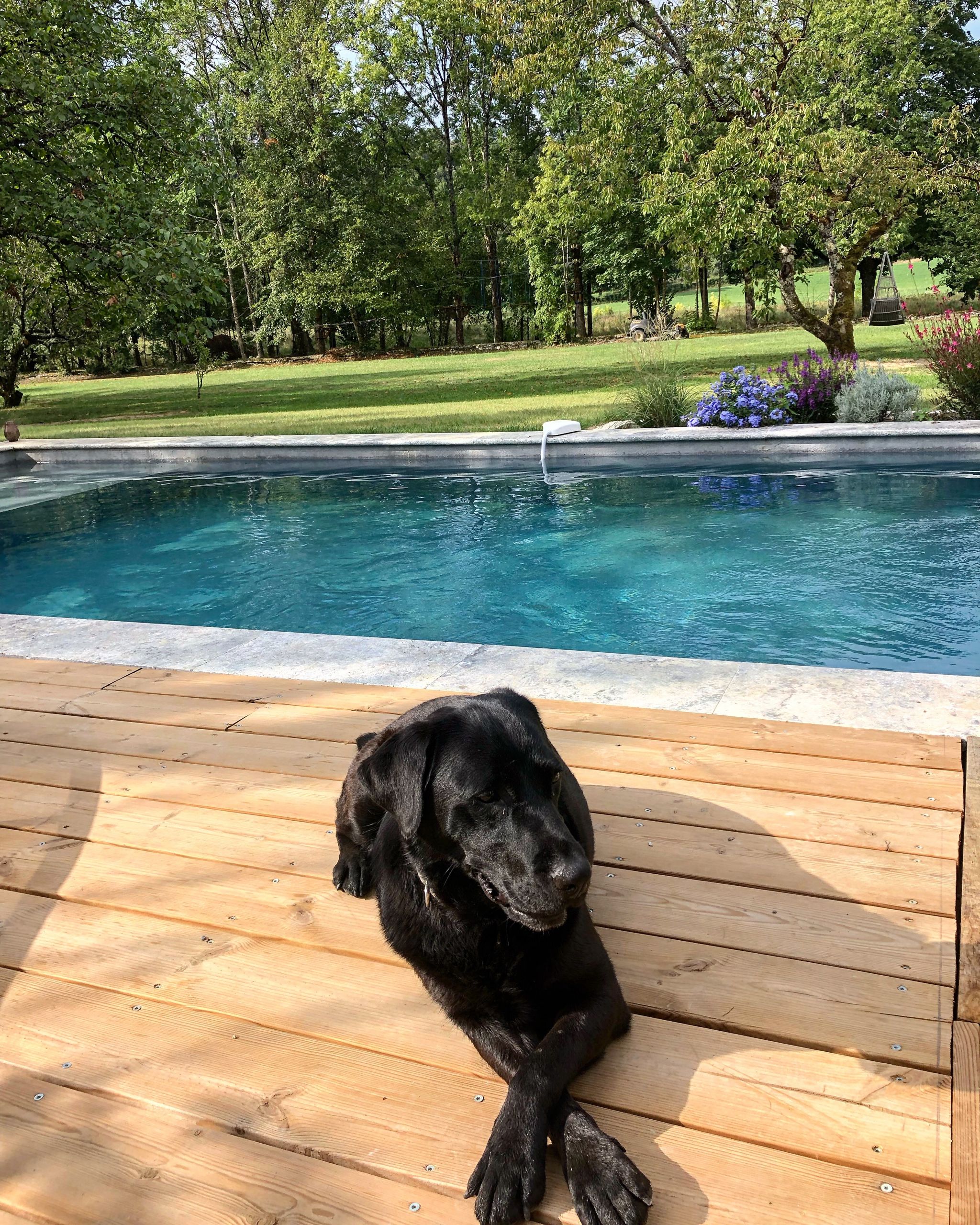 Annecy-Genève-Geneve-Lyon-Bugey-Bugeysud-Ain-France-gites-gite-gîtes-gîte-les gites de sarah et Claude-pet-pet friendly-dog-cat-zen-nature-guest house-vacances-vacance-grand colombier-Le grand colombier