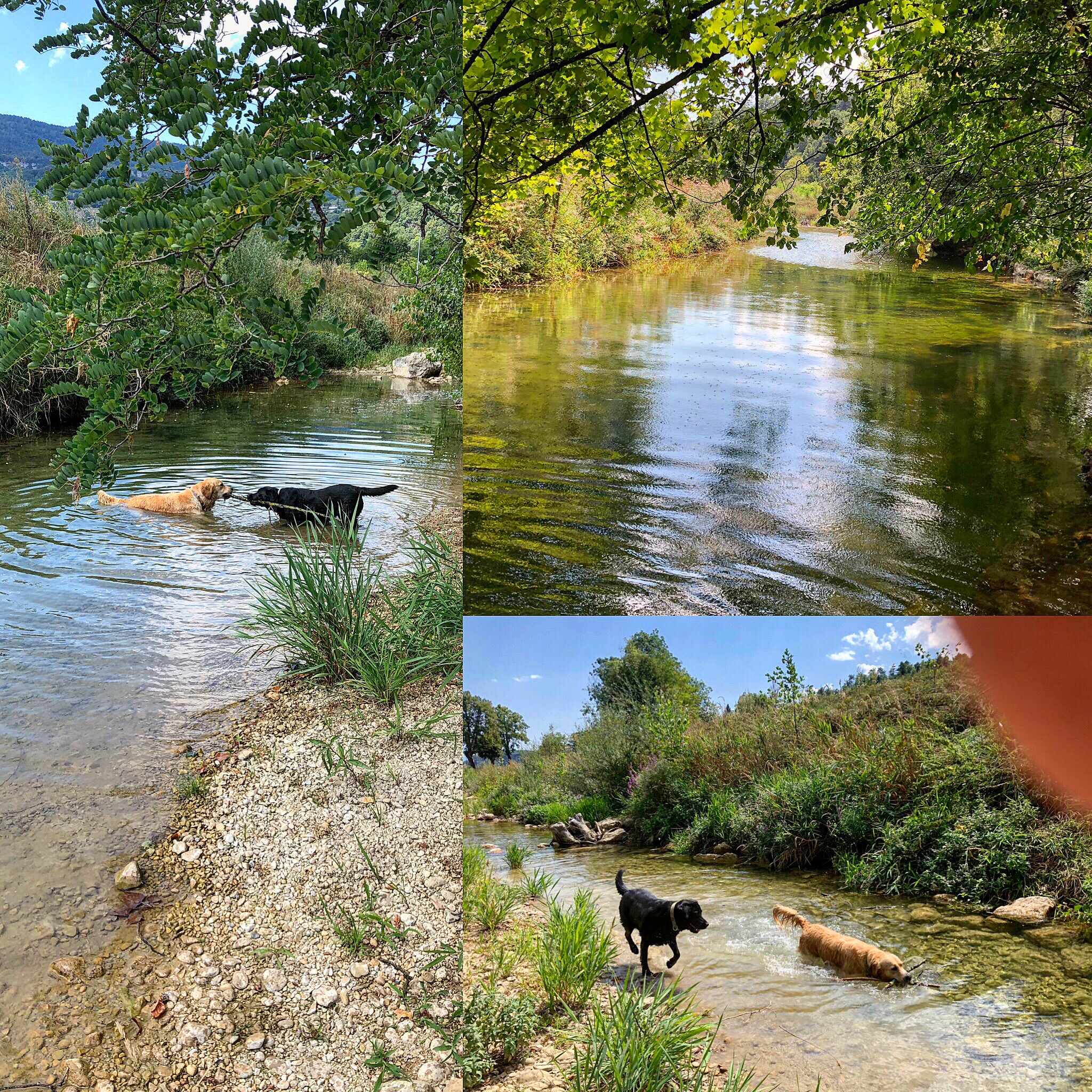 Annecy-Genève-Geneve-Lyon-Bugey-Bugeysud-Ain-France-gites-gite-gîtes-gîte-les gites de sarah et Claude-pet-pet friendly-dog-cat-zen-nature-guest house-vacances-vacance-grand colombier-Le grand colombier