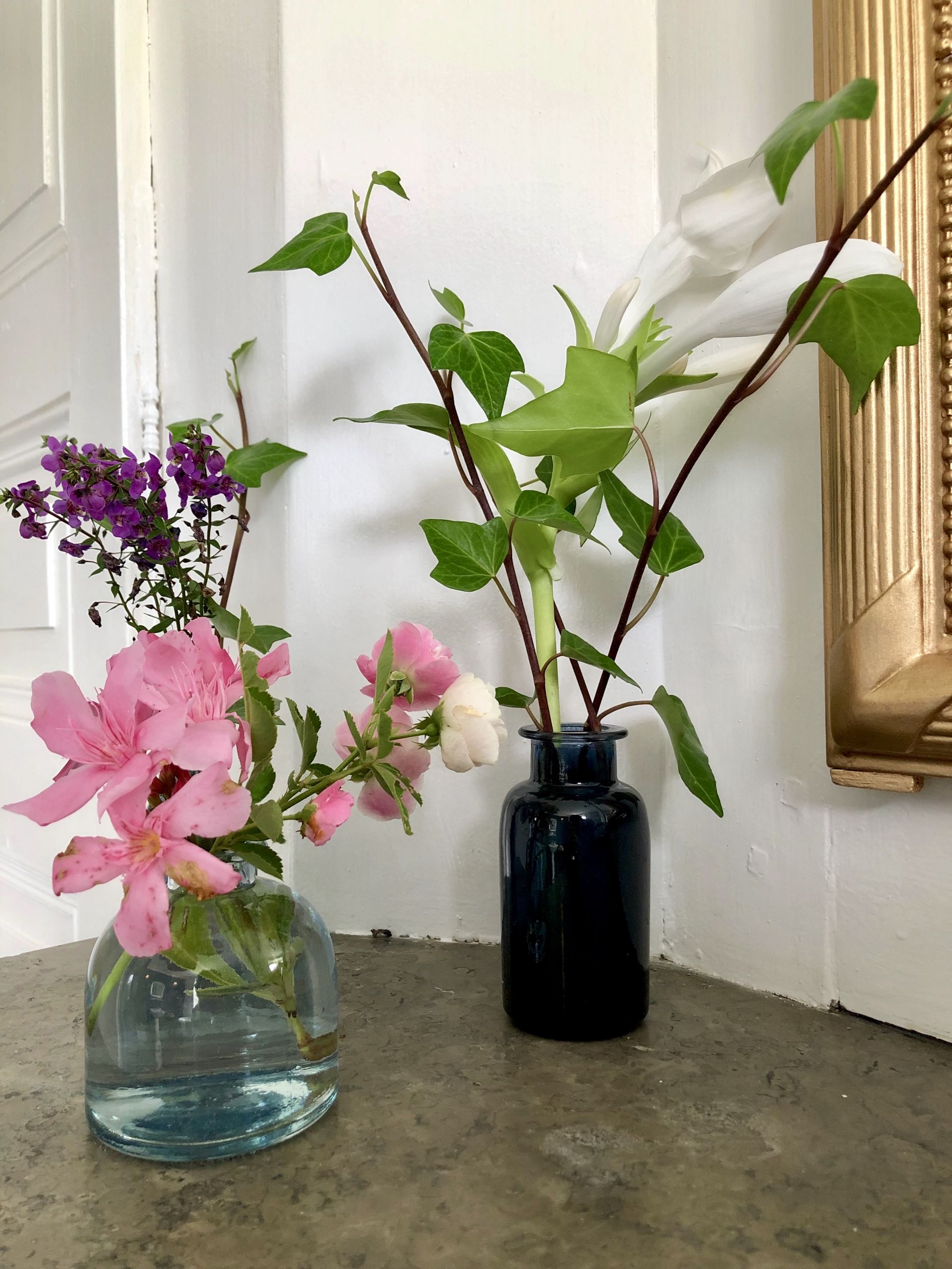 Annecy-Genève-Geneve-Lyon-Bugey-Bugeysud-Ain-France-gites-gite-gîtes-gîte-les gites de sarah et Claude-pet-pet friendly-dog-cat-zen-nature-guest house-vacances-vacance-grand colombier-Le grand colombier-lesgitesdesarahetclaude