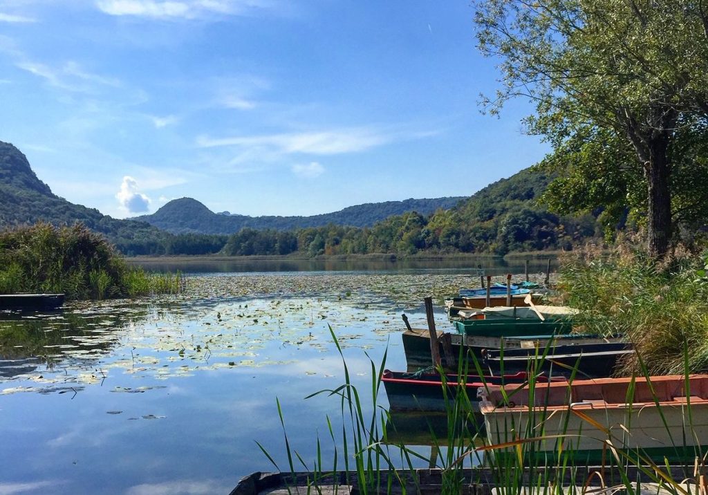 Les Gîtes de Sarah et Claude Annecy-Genève-Geneve-Lyon-Bugey-Bugeysud-Ain-France-gites-gite-gîtes-gîte-les gites de sarah et Claude-pet-pet friendly-dog-cat-zen-nature-guest house-vacances-vacance-grand colombier-Le grand colombier-lesgitesdesarahetclaude