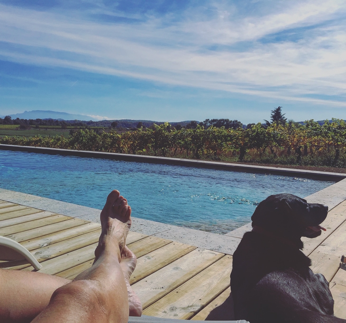 Annecy-Genève-Geneve-Lyon-Bugey-Bugeysud-Ain-France-gites-gite-gîtes-gîte-les gites de sarah et Claude-pet-pet friendly-dog-cat-zen-nature-guest house-vacances-vacance-grand colombier-Le grand colombier-lesgitesdesarahetclaude