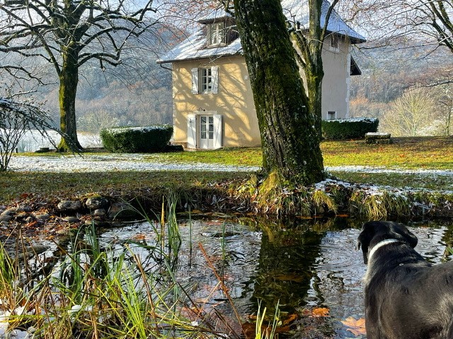 jardin Annecy-Genève-Geneve-Lyon-Bugey-Bugeysud-Ain-France-gites-gite-gîtes-gîte-les gites de sarah et Claude-pet-pet friendly-dog-cat-zen-nature-guest house-vacances-vacance-grand colombier-Le grand colombier-lesgitesdesarahetclaude