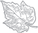 feuille