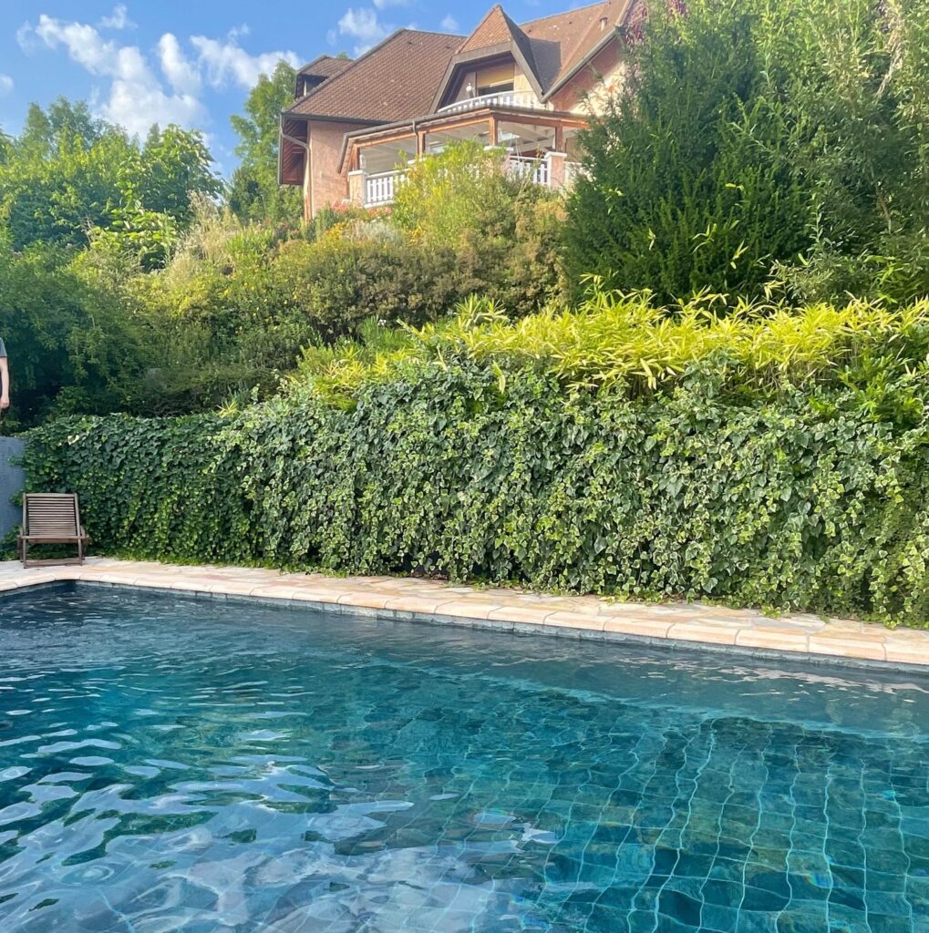 les gites de Sarah et Claude Gîte-Annecy-Genève-Geneve-Lyon-Bugey-Bugeysud-Ain-France-gites-gite-gîtes-gîte-les gites de sarah et Claude-pet-pet friendly-dog-cat-zen-nature-guest house-vacances-vacance-grand colombier-Le grand colombier-lesgitesdesarahetclaude